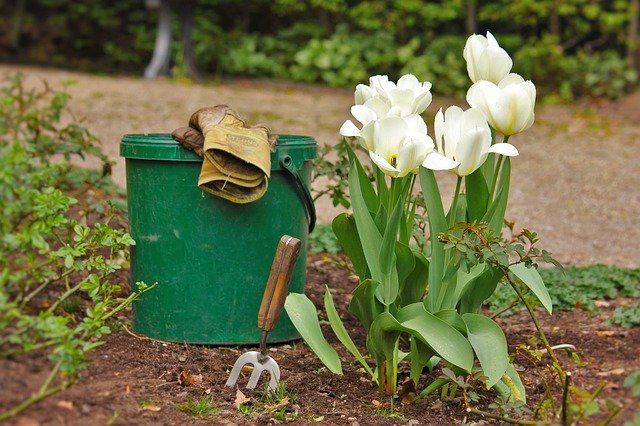 kbelík a tulipány